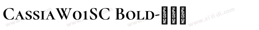 CassiaW01SC Bold字体转换